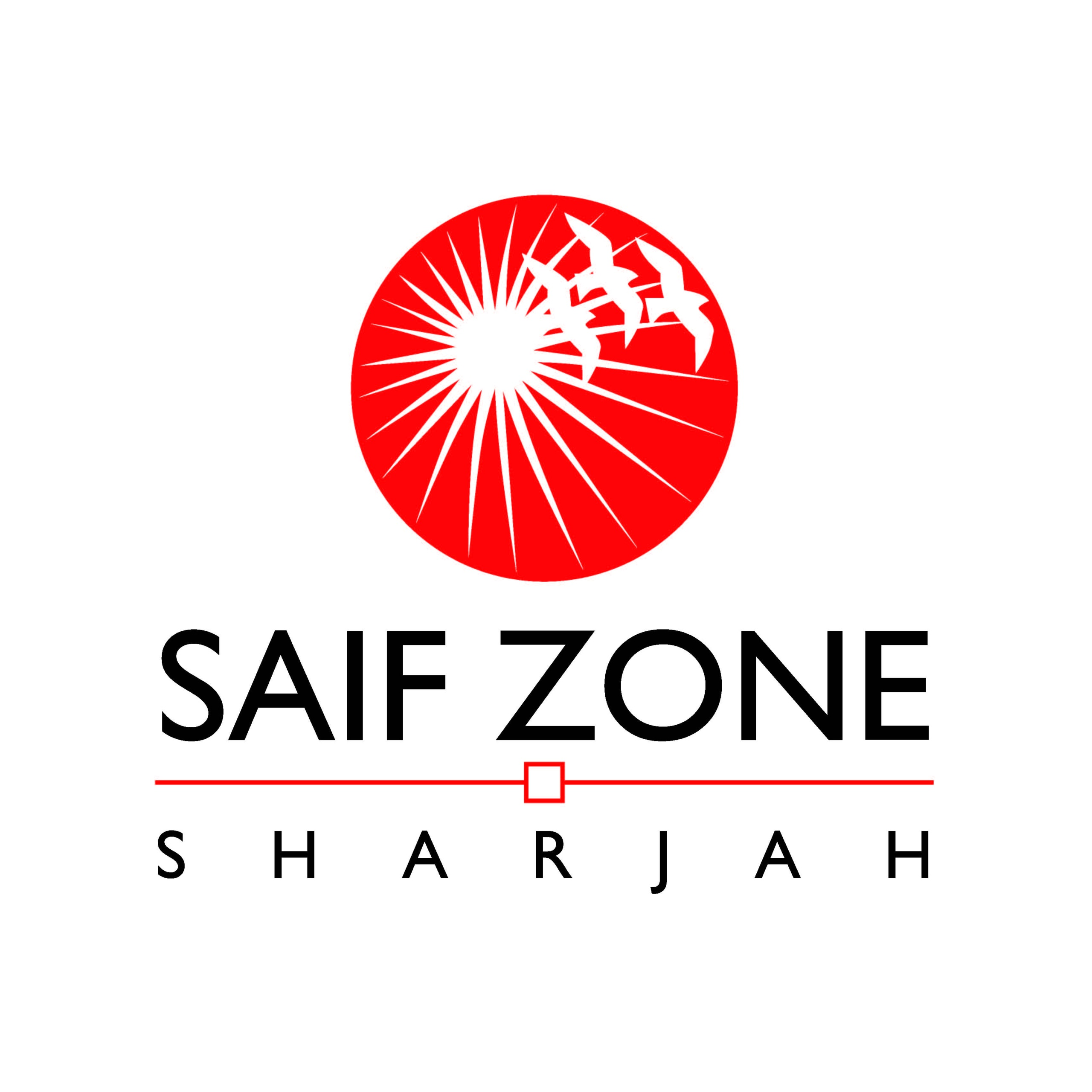 SAIF Zone Company Setup